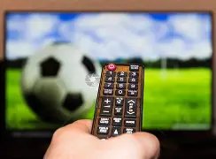 国足扬科维,奇首战新西,兰战平,世界杯赛事,2026世界杯,赛程安排,最新动态,球队信息