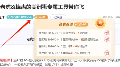 艾菲尔丁：从中甲闪耀到海港新援，征程中的毅力前行