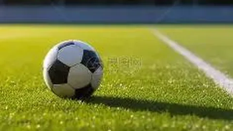 “澳网：辛纳表现强势，领跑男单半决赛五大精彩瞬间”